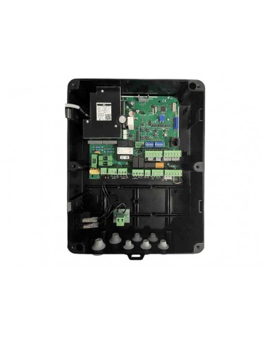 MAN342 CUADRO PNG-42